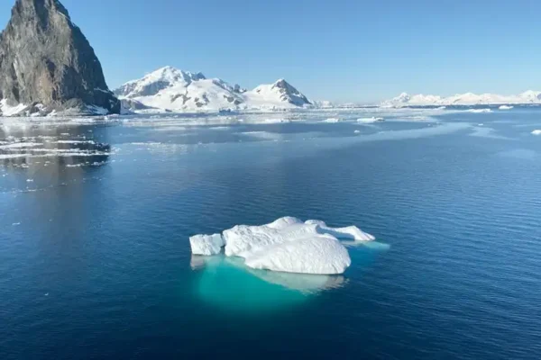 ANTARCTICA-CRUISES-ponant-image