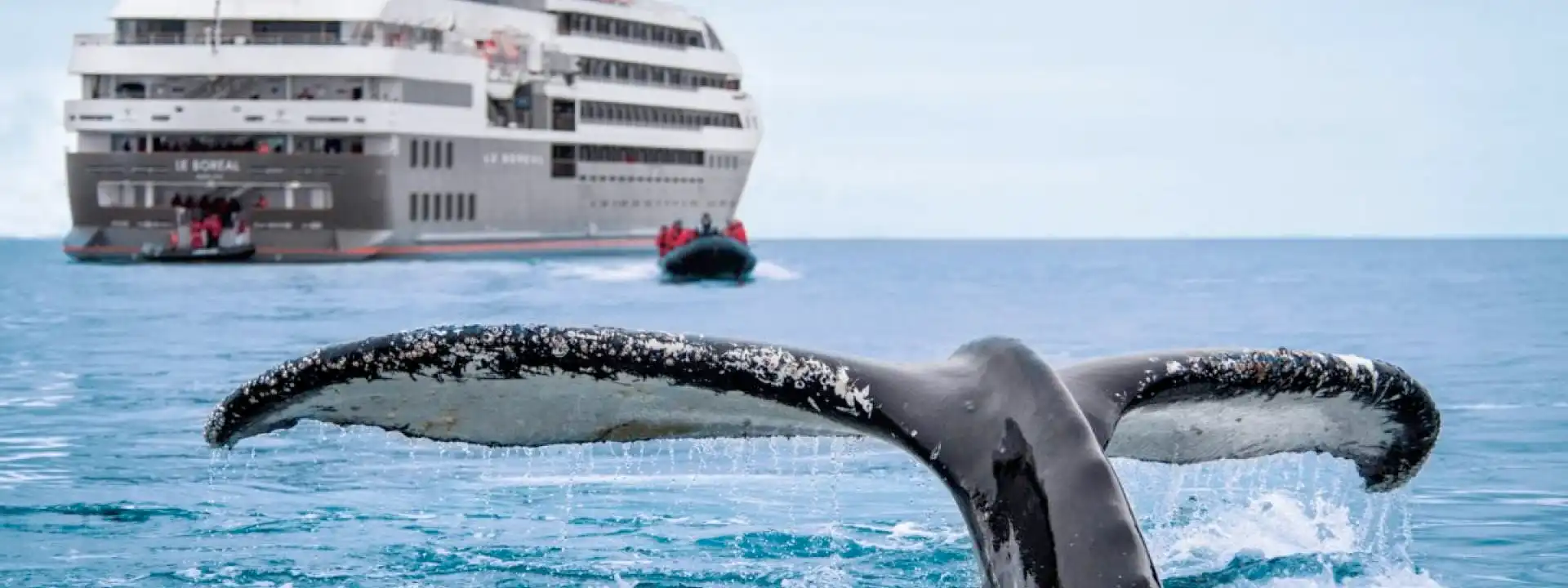 NATIONAL-GEOGRAPHIC-THEMED-CRUISES-ponant-slider