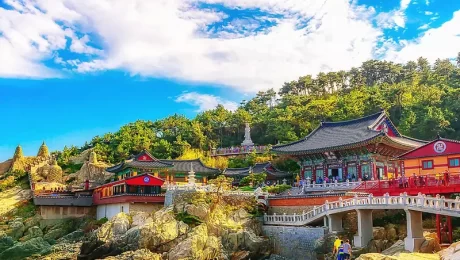 SAVE $8110 per couple on Ponant Japan Cruise