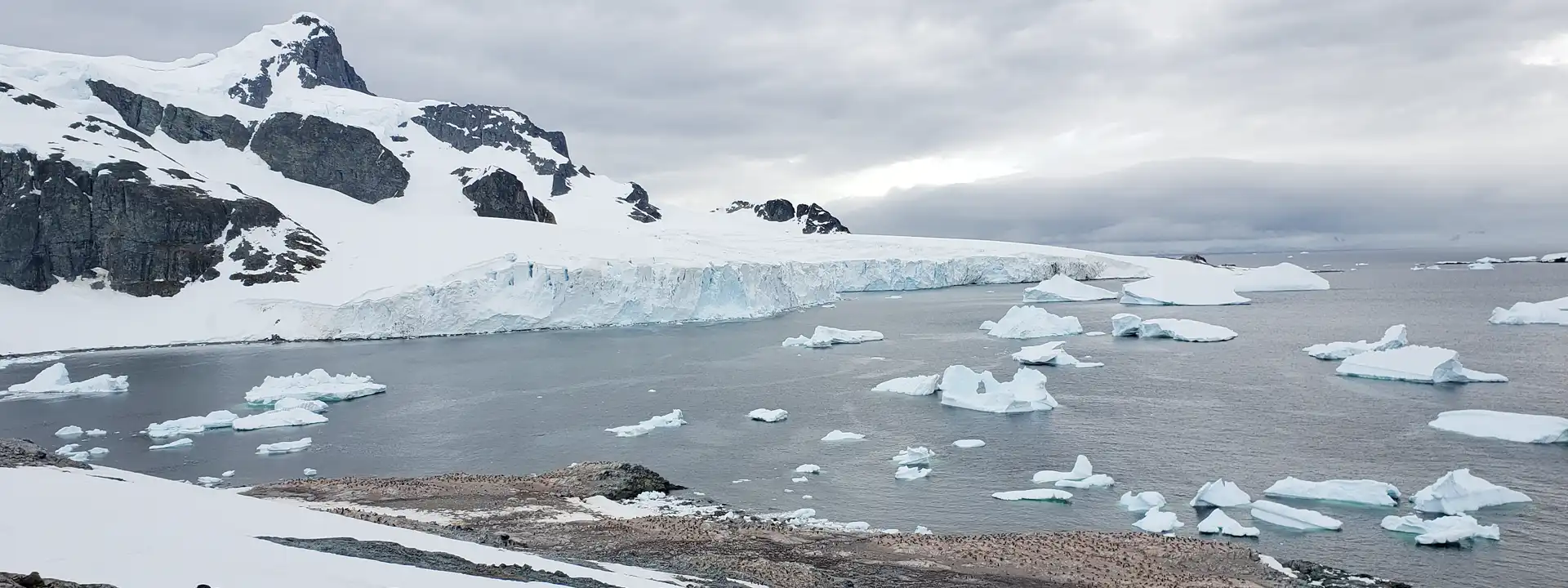 SUB-ANTARCTIC-ISLANDS-CRUISE-DEALS-slider