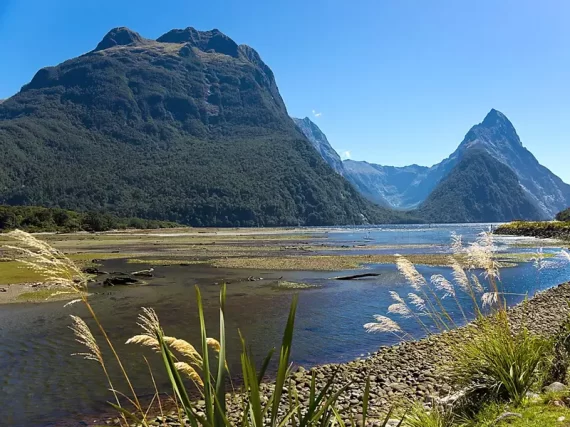 NEW-ZEALAND-ponant-cruise-deals-image