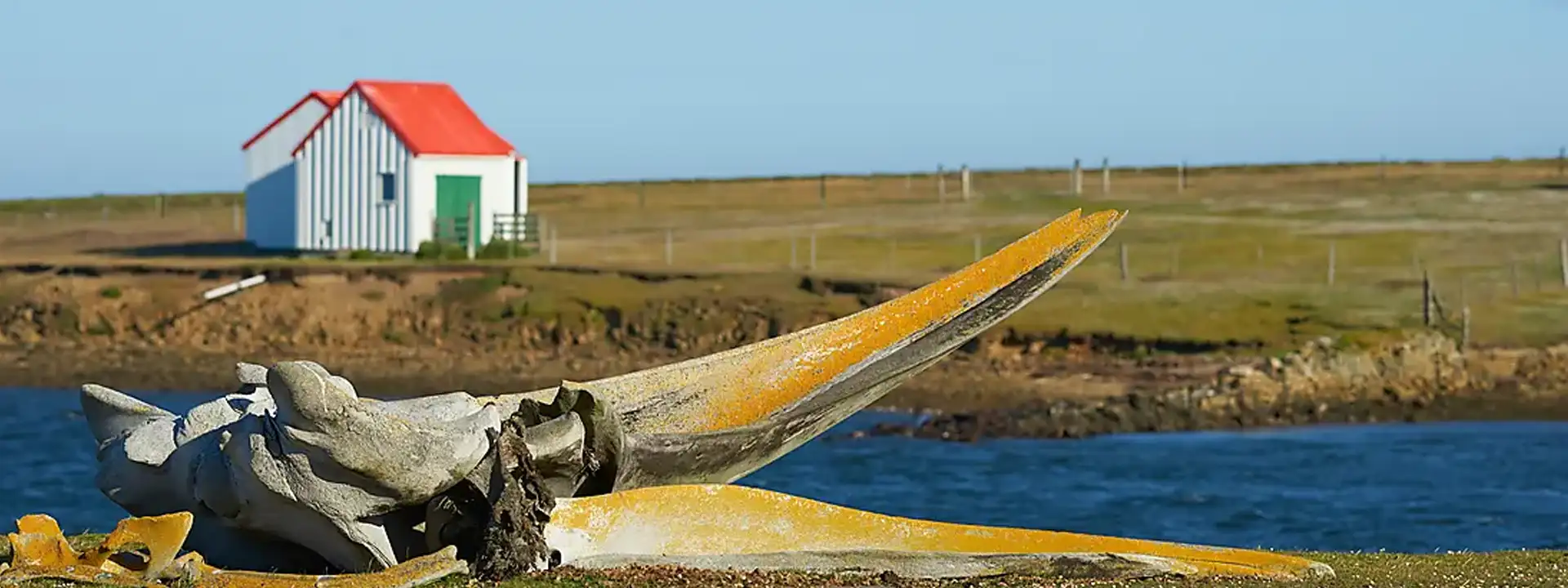 PONANT Antarctica and Falkland Islands