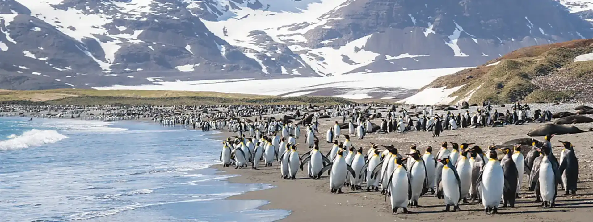 CHRISTMAS IN ANTARCTICA Ponant cruise slider
