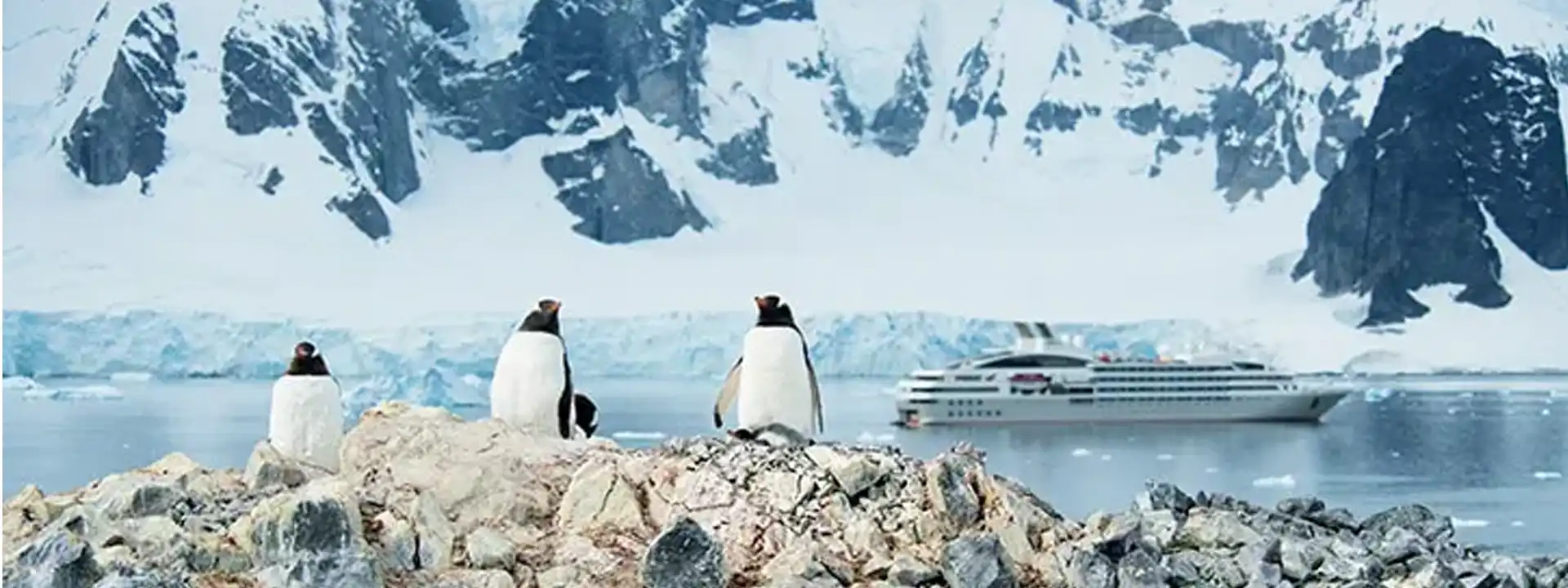 SCOTT SHACKLETON cruise Antarctica Ponant slider