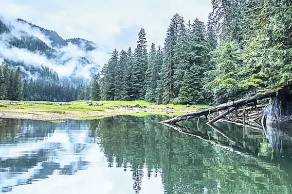 KIMBERLEY VS ALASKA-PONANT Landscapes in Alaska