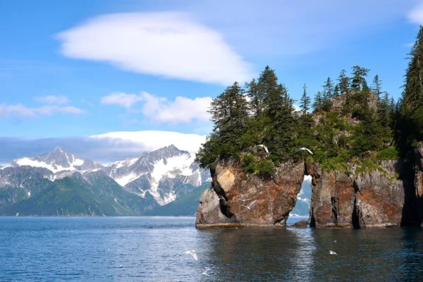 KIMBERLEY VS ALASKA-PONANT Spire Cove-Resurection Bay