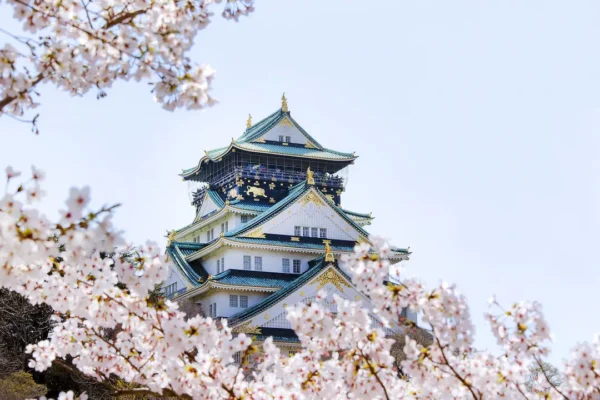 PONANT SOLO TRAVEL CRUISES- Asia Japan