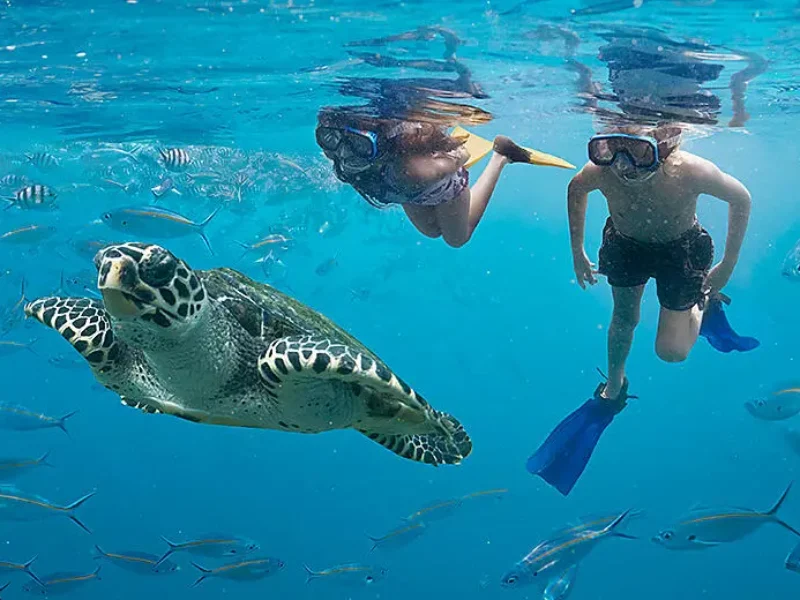An Escapade in the Heart of Melanesia Cruise Deal_snorkelling