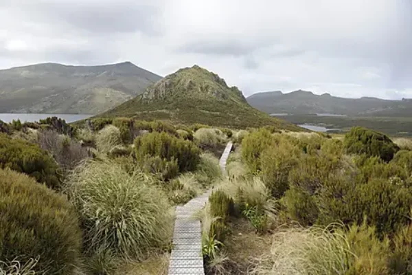 SUB ANTARCTIC ISLANDS CRUISE DEALS-Campbell Island